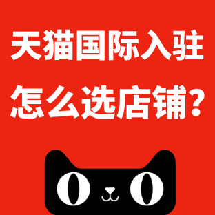 天猫国际入驻