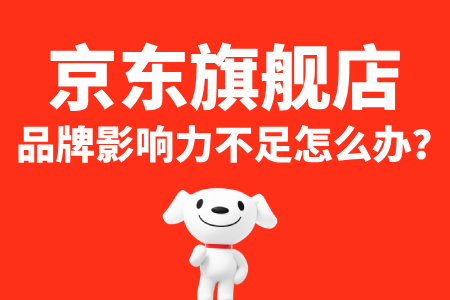 450X300 (14)
