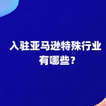 亚马逊特殊类目有哪些？一文解读！！