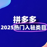 拼多多热门入驻类目全解析：2025年商家必看！
