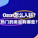 Ozon怎么入驻？热门的类目有哪些？