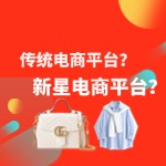 国内电商新蓝海，你知道几个？