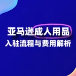 亚马逊成人用品入驻：流程与费用全解析