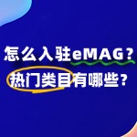 怎么入驻eMAG？热门类目有哪些？