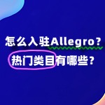 怎么入驻Allegro？热门类目有哪些？