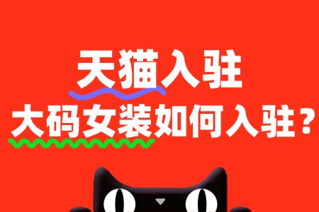 入驻天猫大码女装,审核被拒怎么办?