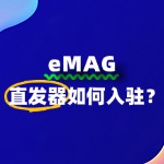直发器入驻eMAG到底难不难？一文读懂入驻门槛