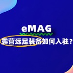 入驻eMAG需要几步？露营装备商家的通关秘籍！
