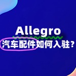 Allegro汽车配件入驻，这些常见问题你别忽视！