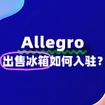 出售冰箱怎么入驻Allegro？VAT税号如何申请？