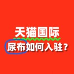 尿布入驻天猫国际，企业资质审核有哪些关键点？