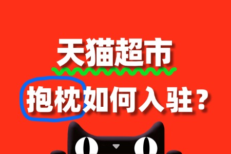 天猫超市抱枕入驻,审核标准与流程全解析