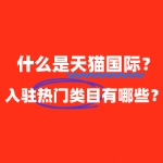 什么是天猫国际？有哪些热门类目可以入驻？