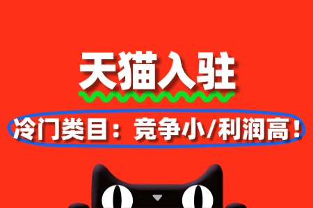 2025天猫入驻冷门类目:竞争小、利润高!