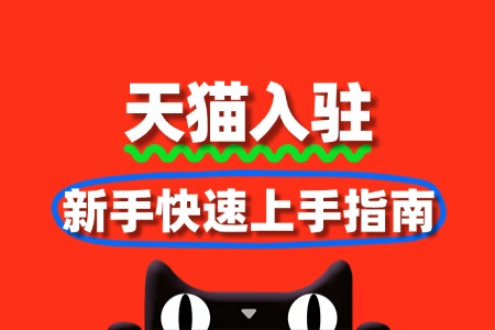 天猫入驻流程:新手快速上手指南