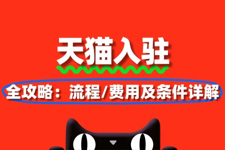2025天猫入驻全攻略：流程、费用及条件详解