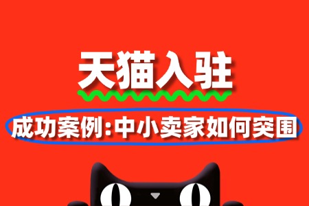 天猫入驻成功案例:中小卖家如何突围