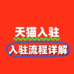 天猫入驻攻略：轻松开启电商之旅，开启财富新大门