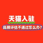 天猫入驻避坑指南：品牌评估不通过怎么办？