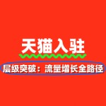 天猫店铺层级突破：流量增长全路径