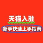 天猫入驻流程：新手快速上手指南