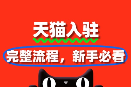 从0到1:新手必看的天猫入驻完整流程