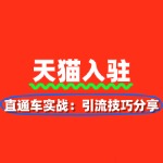 直通车实战：天猫新店引流技巧分享