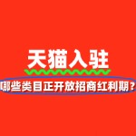 2025天猫入驻趋势：哪些类目正开放招商红利期？