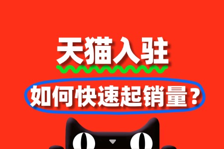 从0到月销百万:天猫入驻后如何快速起量?