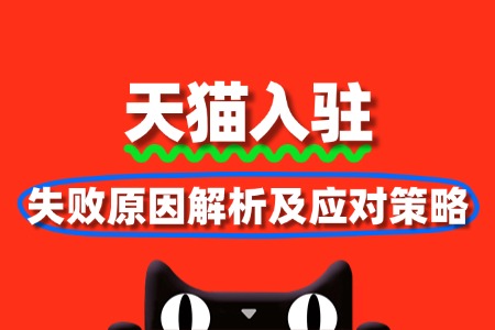 天猫入驻失败原因解析及应对策略