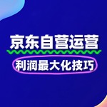 京东自营运营成本管控：利润最大化技巧