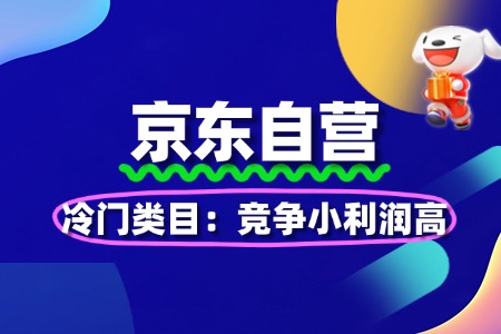 京东自营冷门类目:竞争小利润高