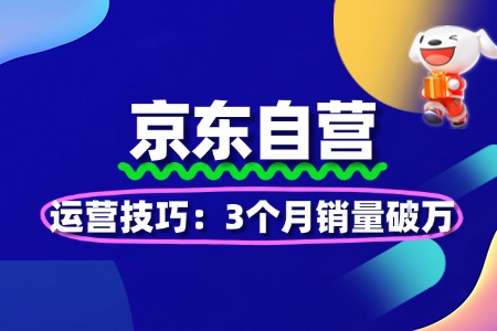 京东自营运营技巧:3个月销量破万实战攻略
