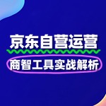 京东自营数据化运营：商智工具实战解析